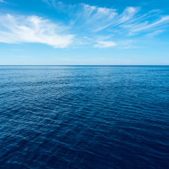 海
